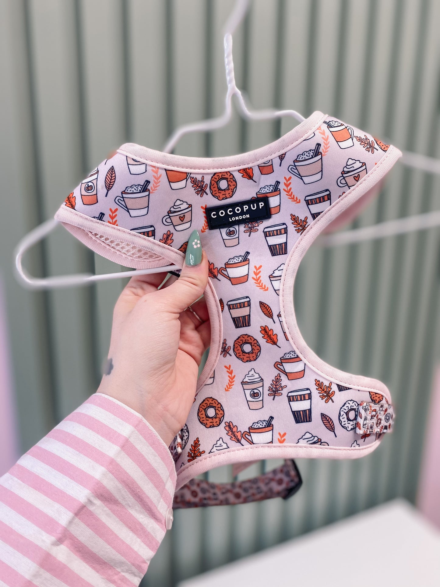 Autumn Puppuccino Harness - Cocopup