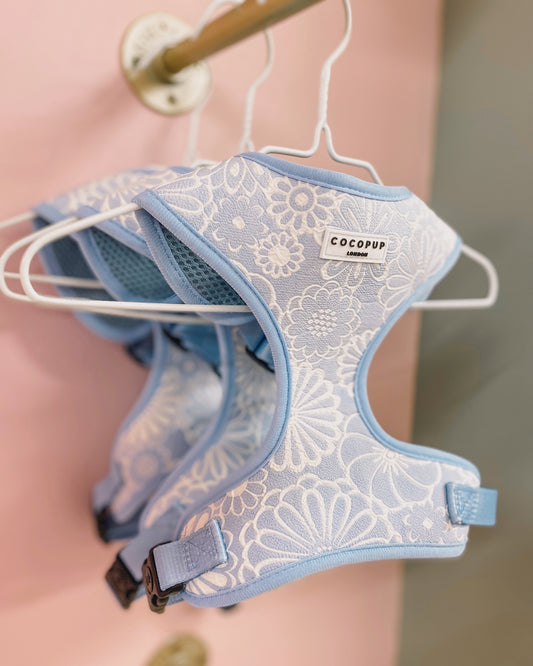 Luxe Baby Blue Flower Harness
